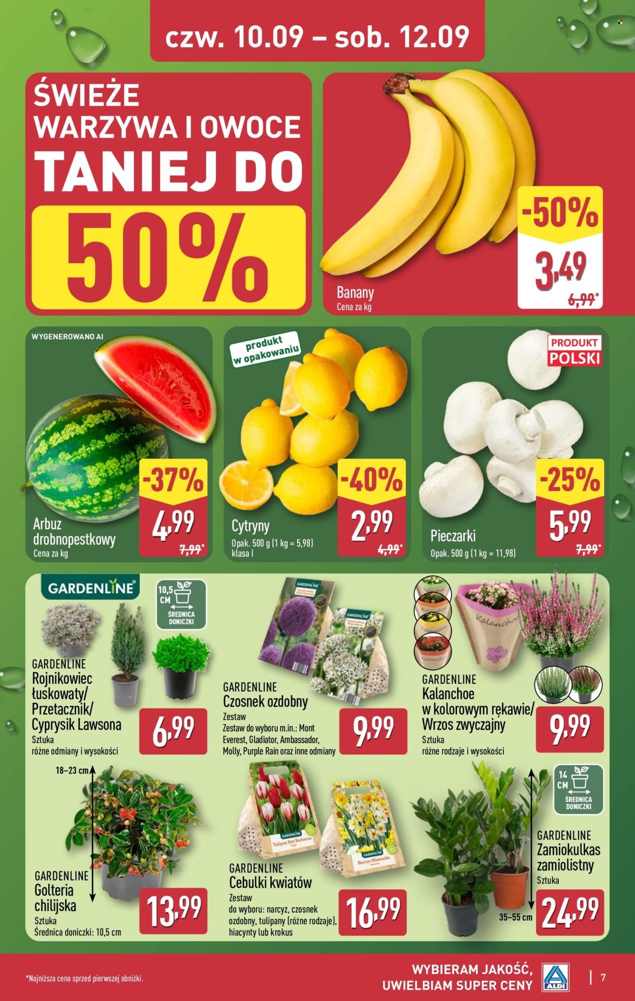 Gazetka ALDI - Oferta weekendowa