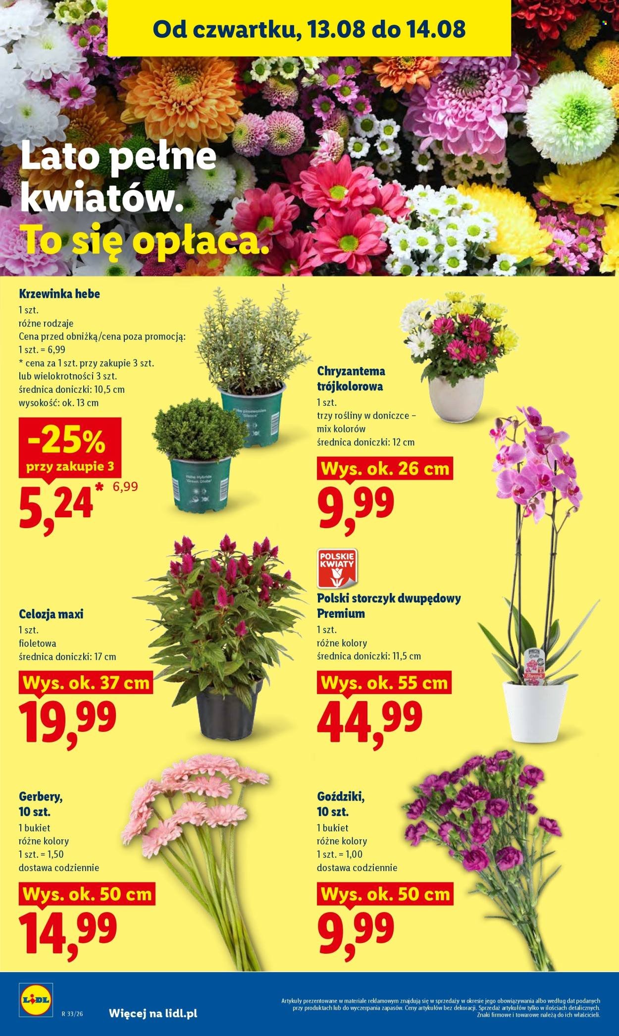 Gazetka LIDL - Od środy