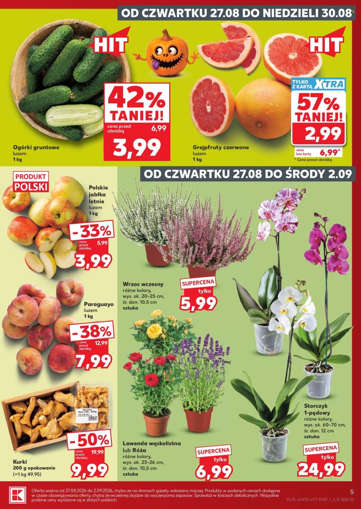 Gazetka KAUFLAND - Gazetka tygodnia