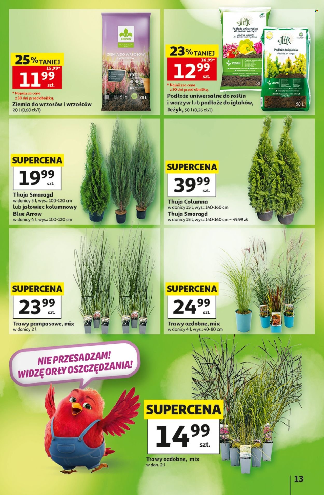 Gazetka AUCHAN - 30 Lat
