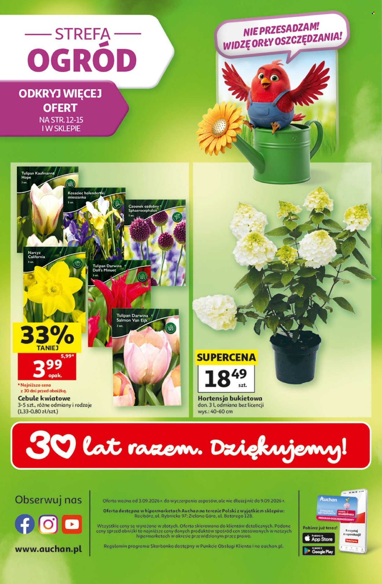 Gazetka AUCHAN - 30 Lat