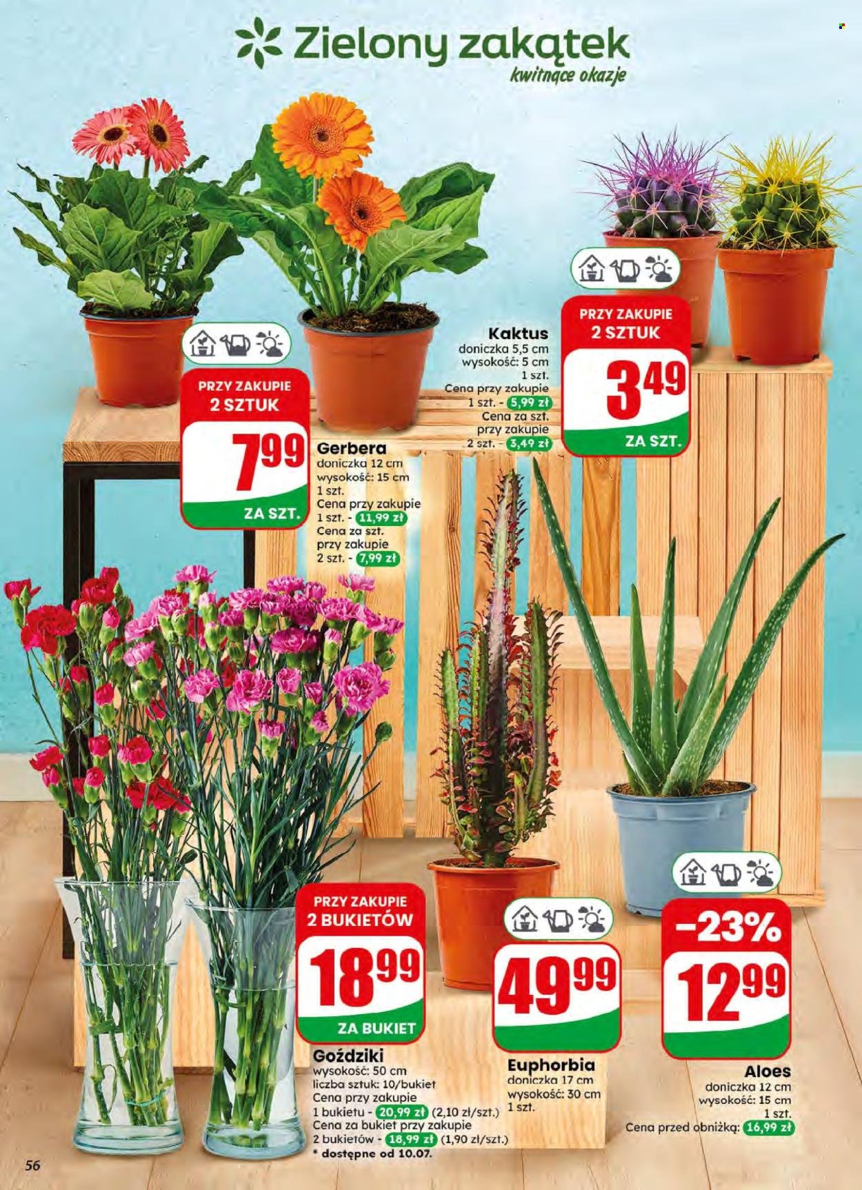 Gazetka DINO - Od środy 8.07.2026