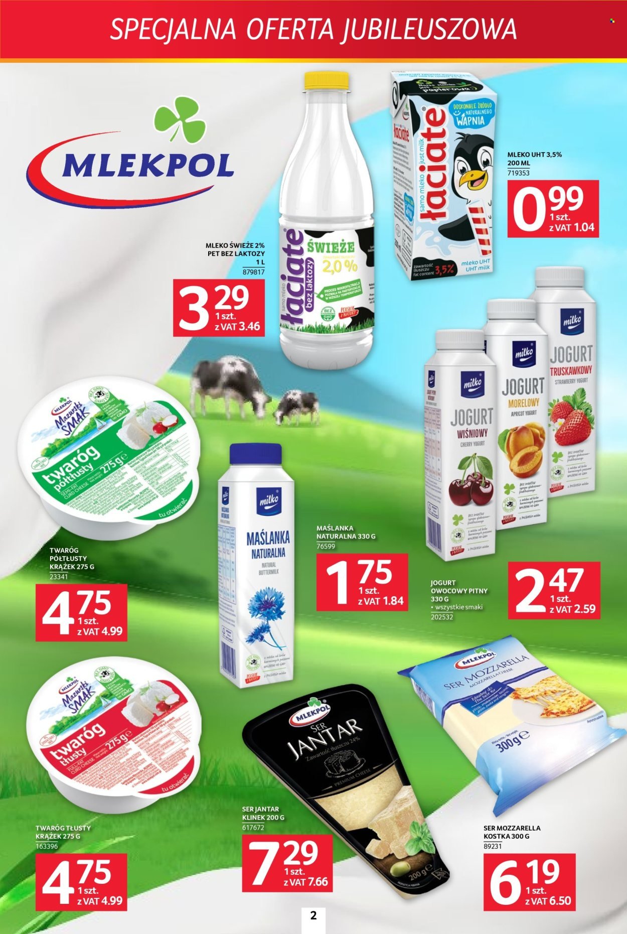 Gazetka SELGROS - Specjalna Oferta Jubileuszowa