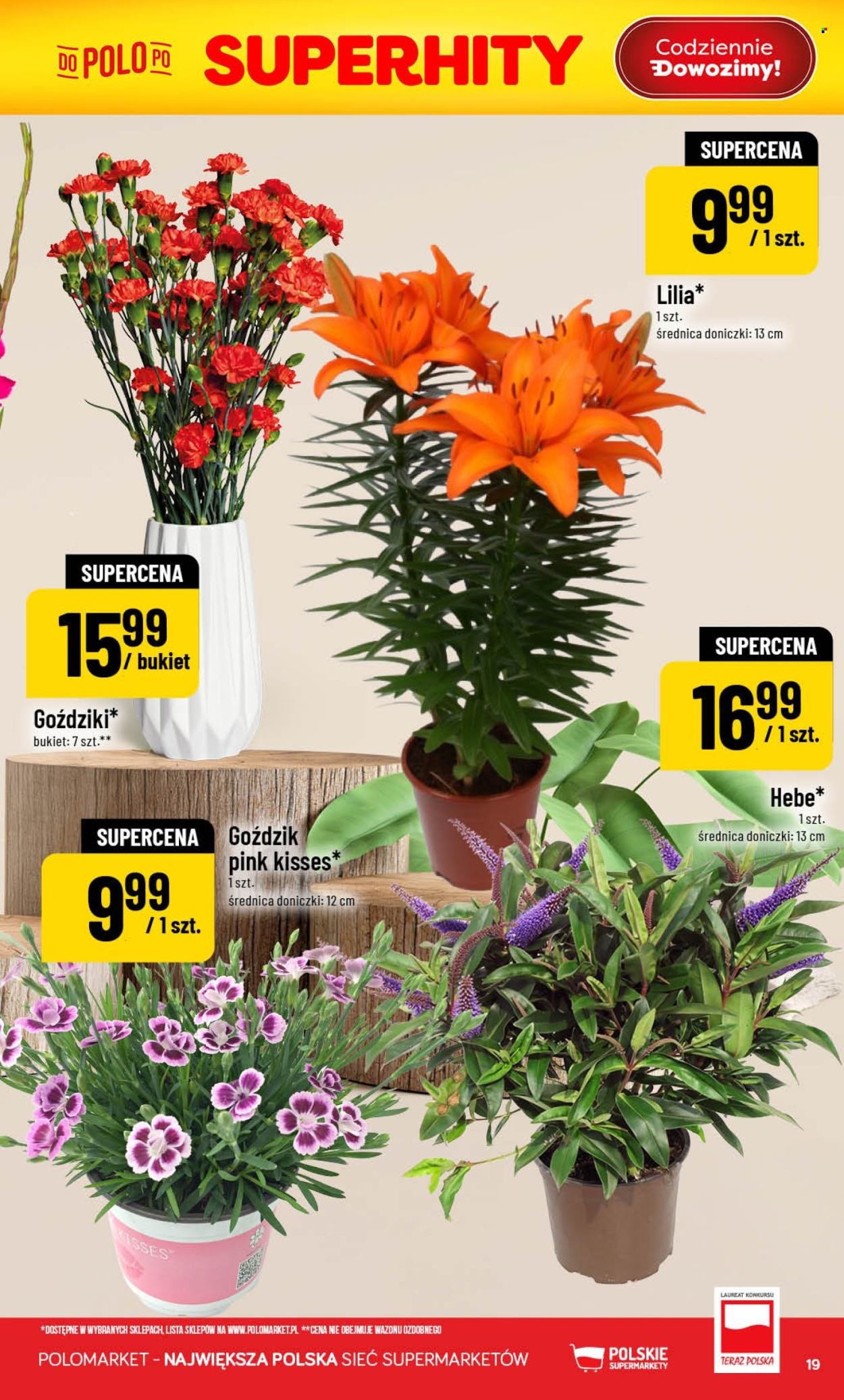 Gazetka POLOMARKET - Od środy 5.08.2026