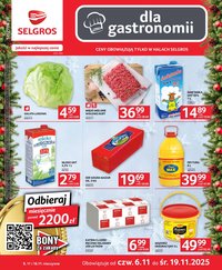 Gazetka SELGROS - Oferta dla gastronomii (2025-11-06 - 2025-11-19)