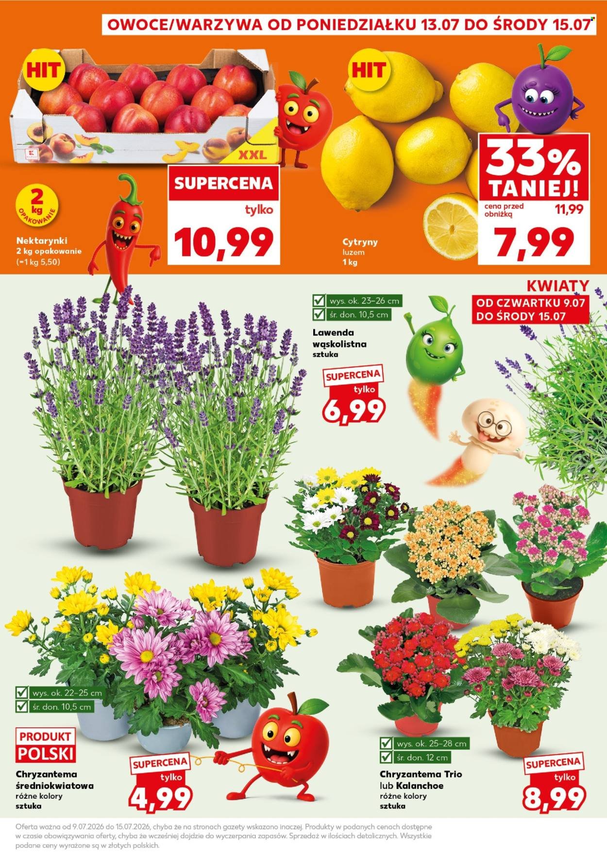 Gazetka KAUFLAND - Mocny Start