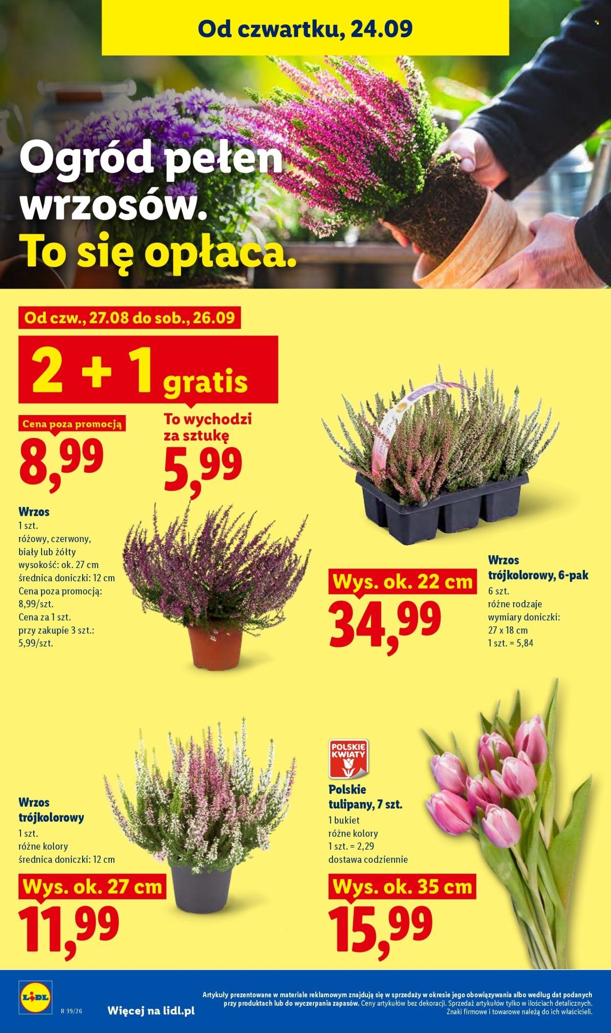 Gazetka LIDL - Od czwartku