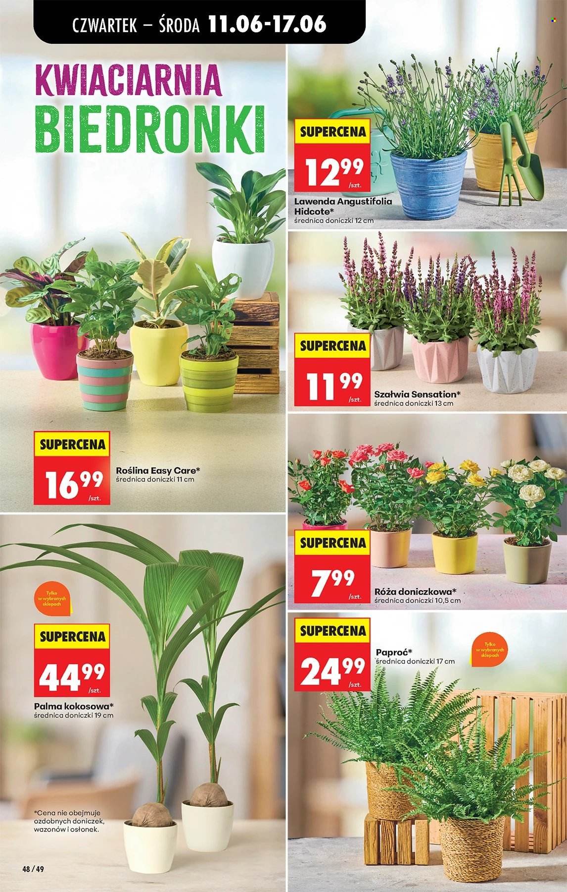 Gazetka BIEDRONKA - W tym tygodniu od czwartku