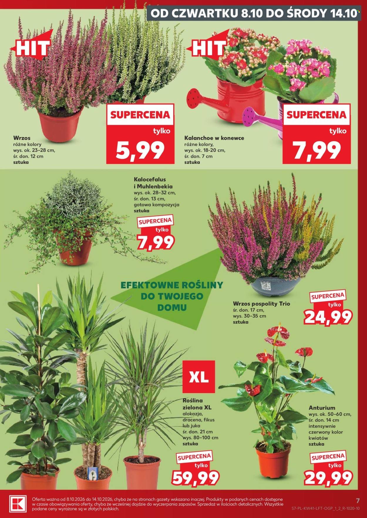 Gazetka KAUFLAND - Gazetka tygodnia