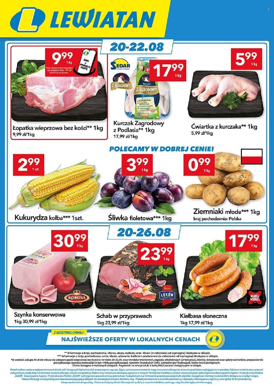 Gazetka LEWIATAN - Od czwartku 20.08.2026