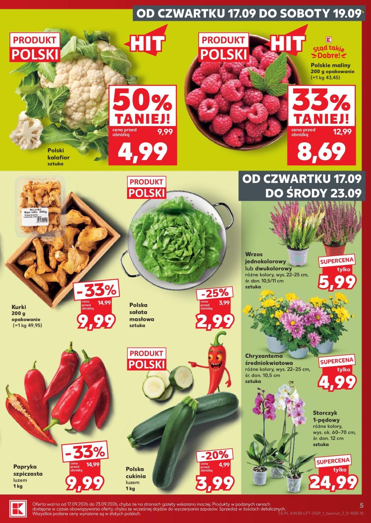 Gazetka KAUFLAND - Gazetka tygodnia