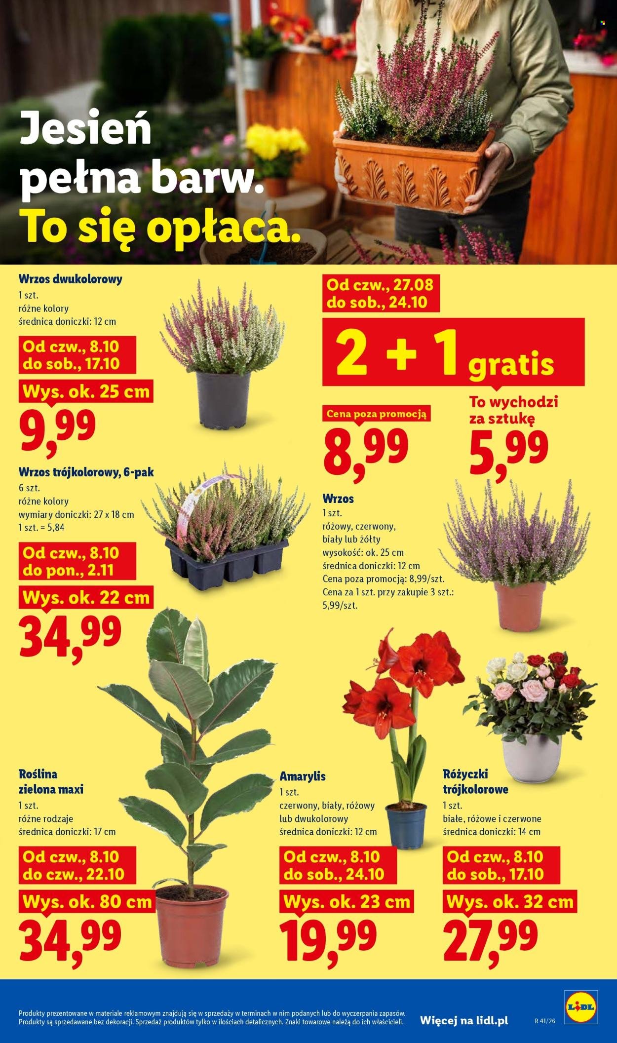 Gazetka LIDL - Od czwartku