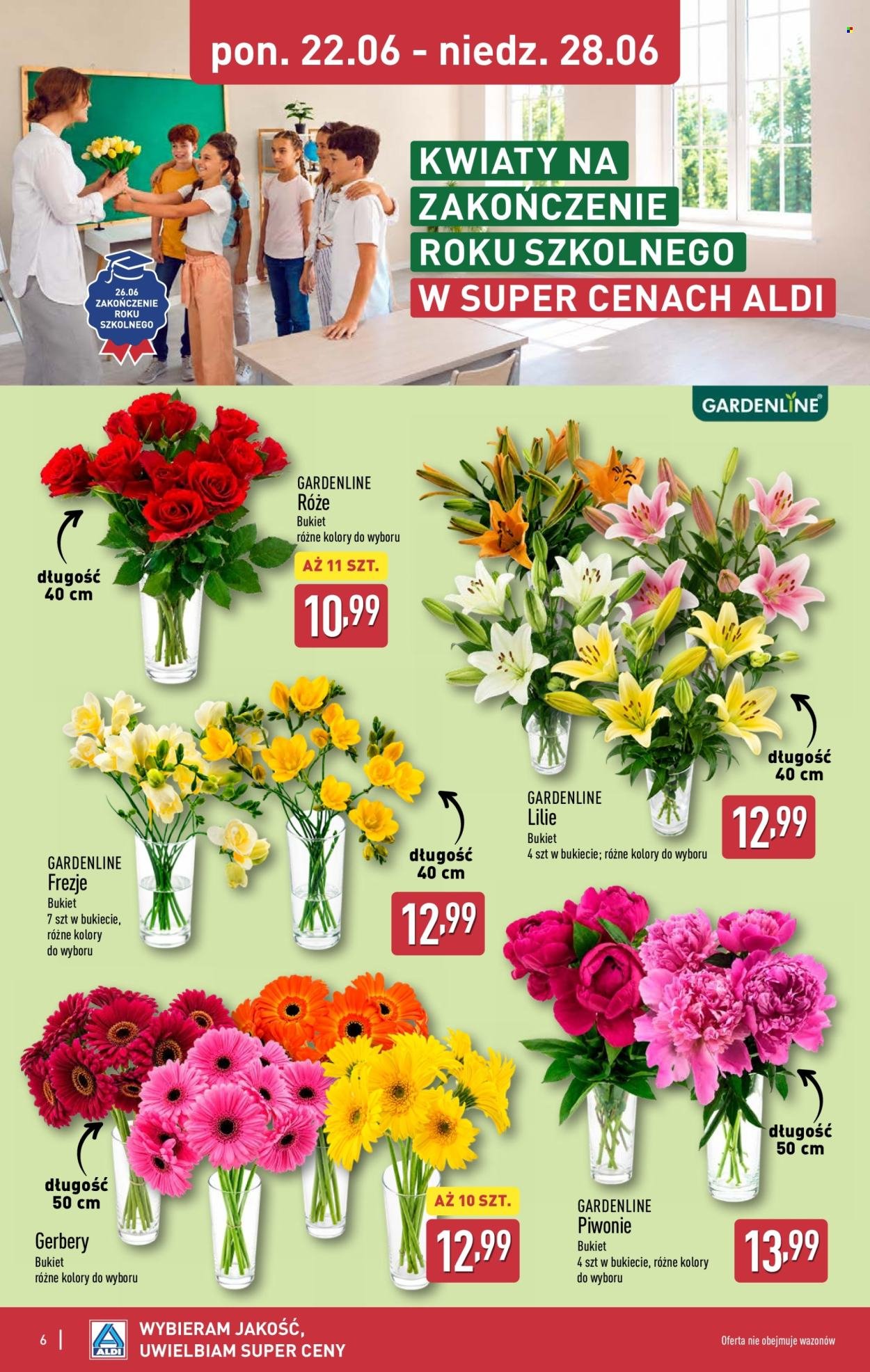 Gazetka ALDI - Pełna oferta