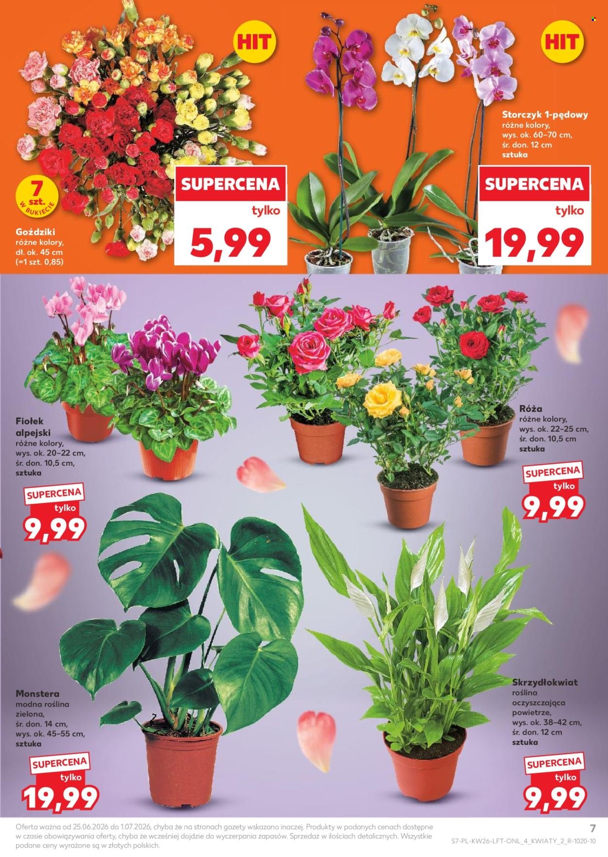 Gazetka KAUFLAND - Gazetka tygodnia
