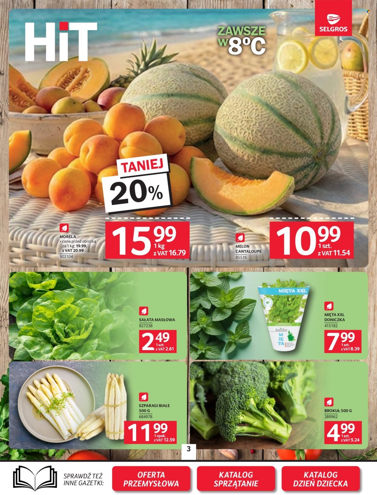 Gazetka SELGROS - Oferta Spożywcza