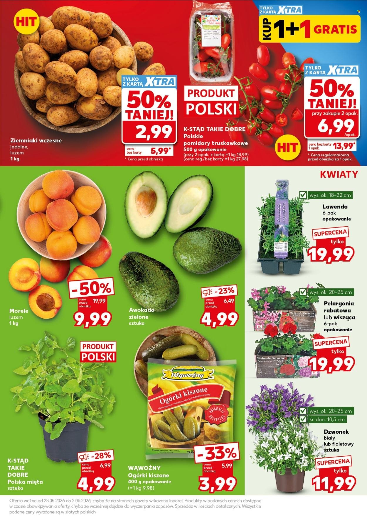 Gazetka KAUFLAND - Mocny Start