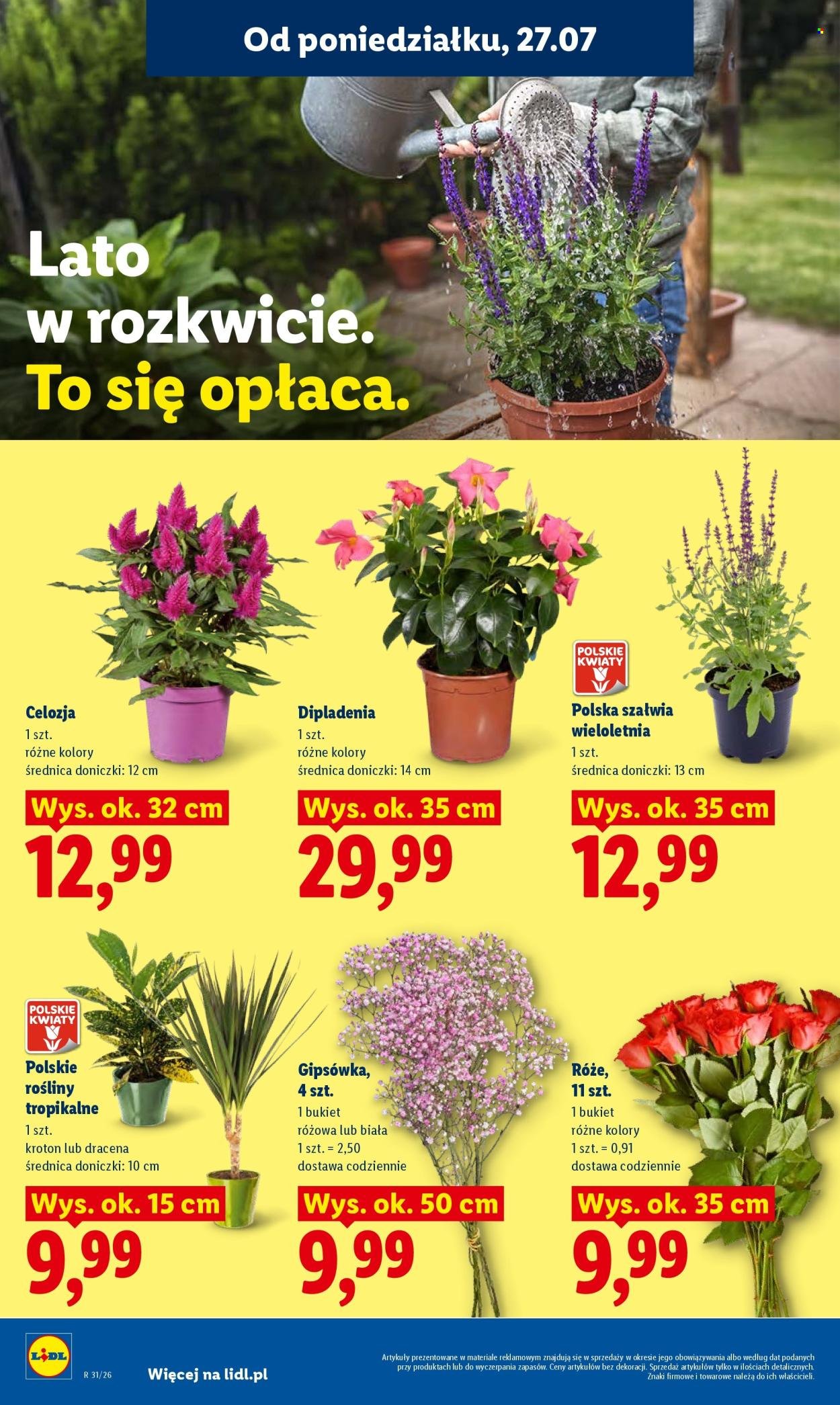 Gazetka LIDL - Od poniedziałku