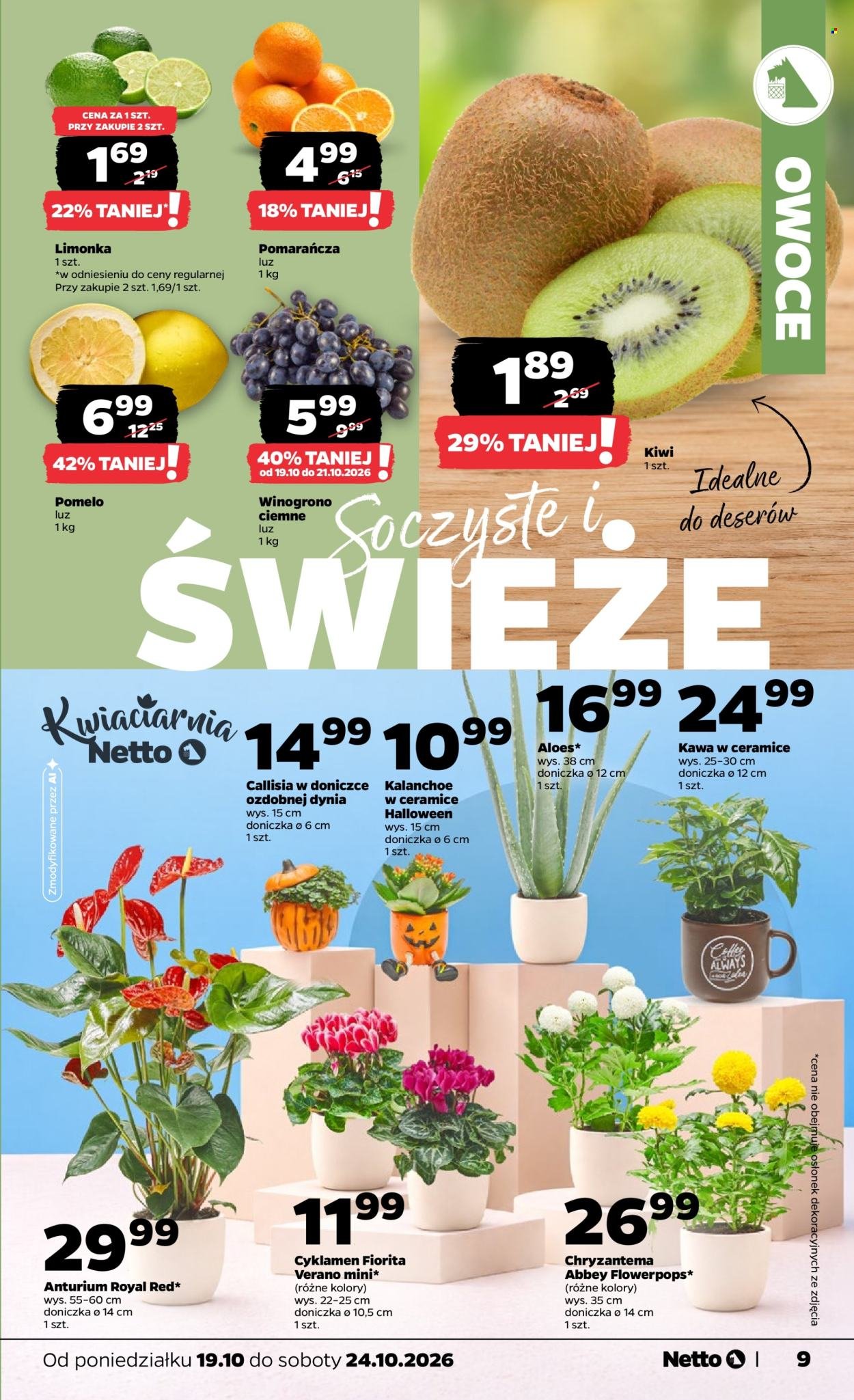 Gazetka NETTO - Od poniedziałku