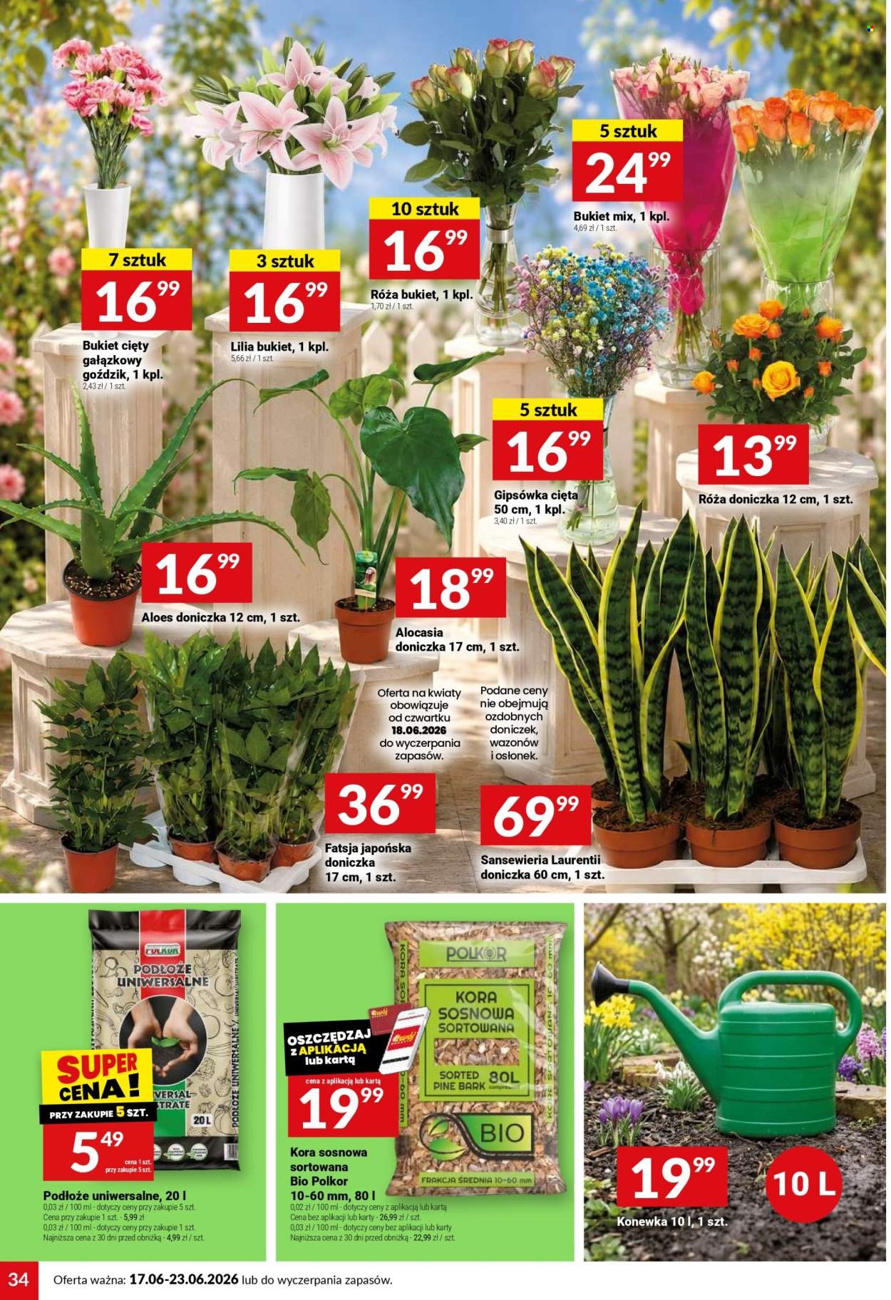Gazetka TWÓJ MARKET - Gazetka regularna 25/26