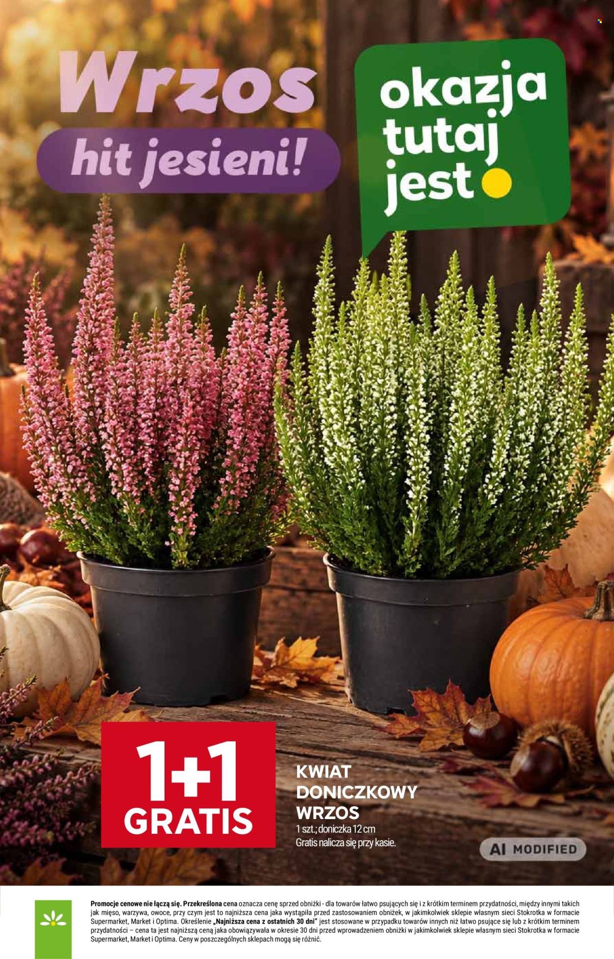 Gazetka STOKROTKA - Od czwartku 17.09.2026