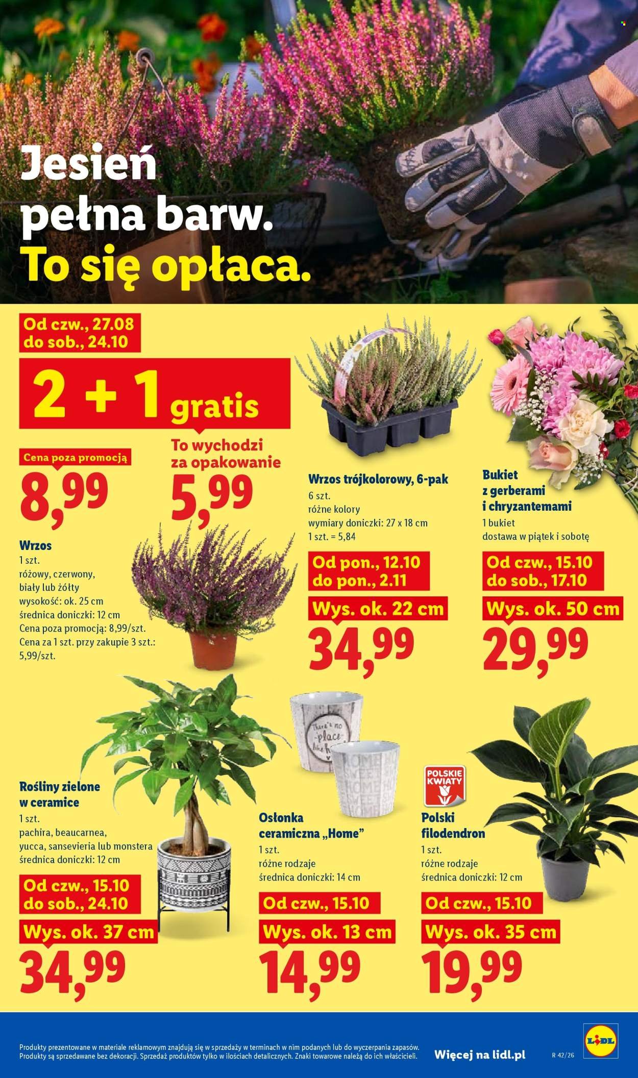 Gazetka LIDL - Od czwartku