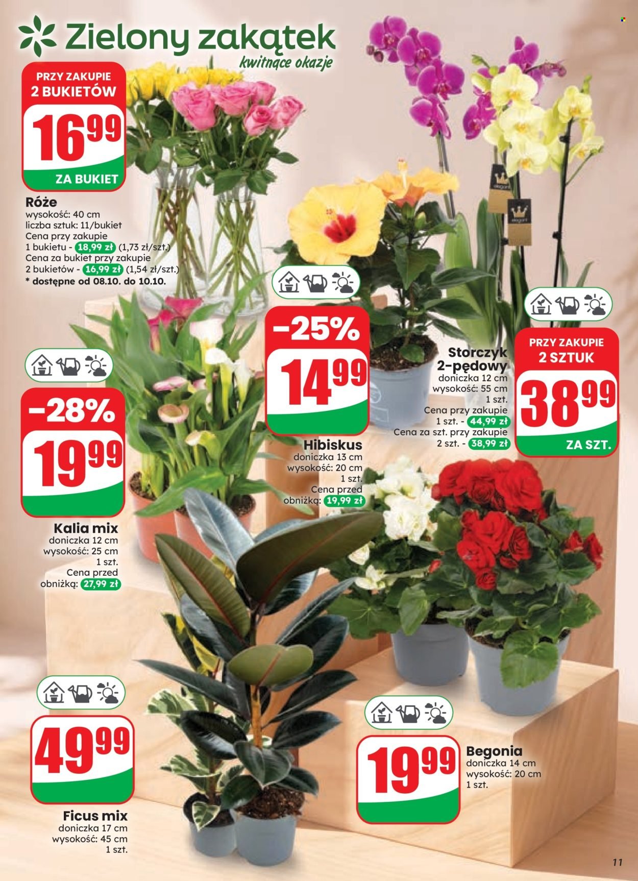 Gazetka DINO - Od środy 7.10.2026