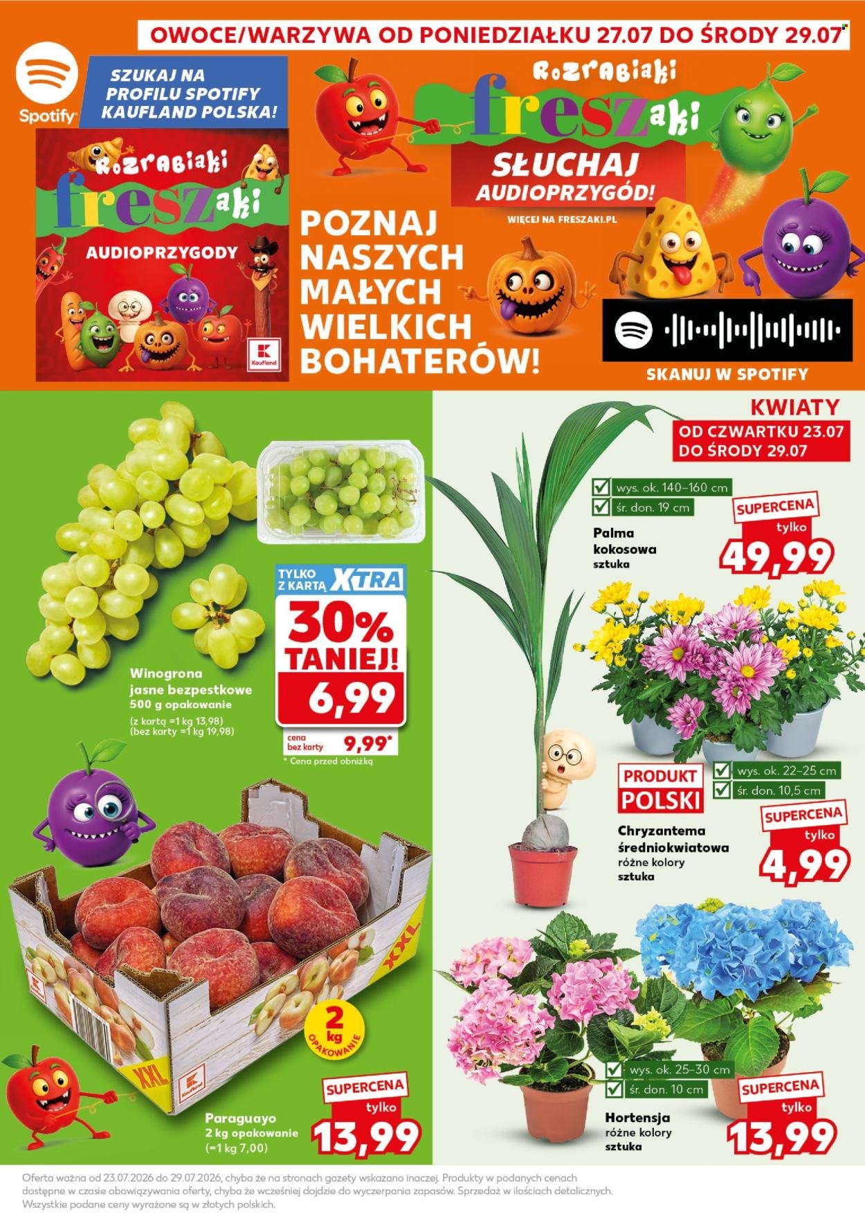 Gazetka KAUFLAND - Mocny Start