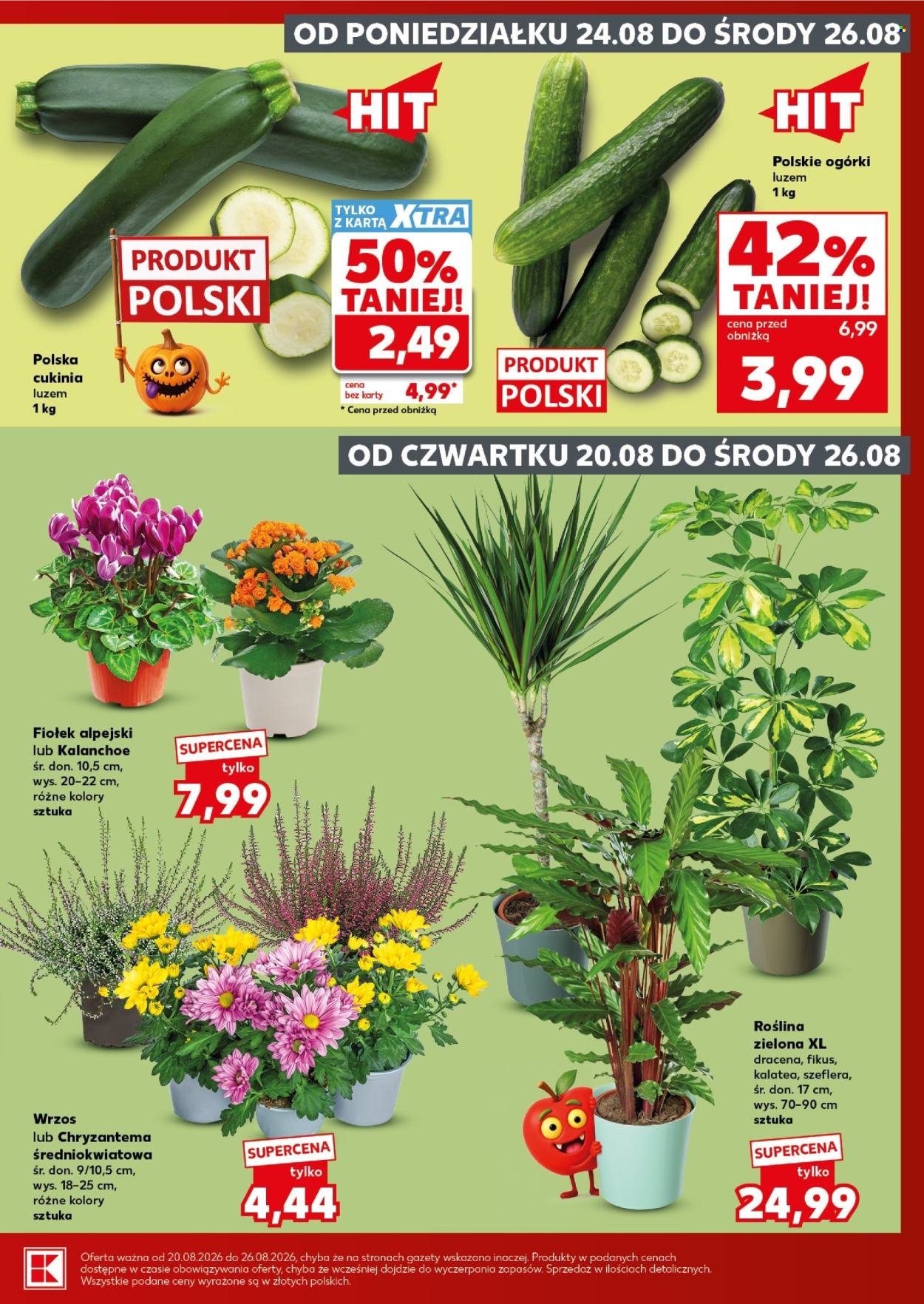 Gazetka KAUFLAND - Mocny Start