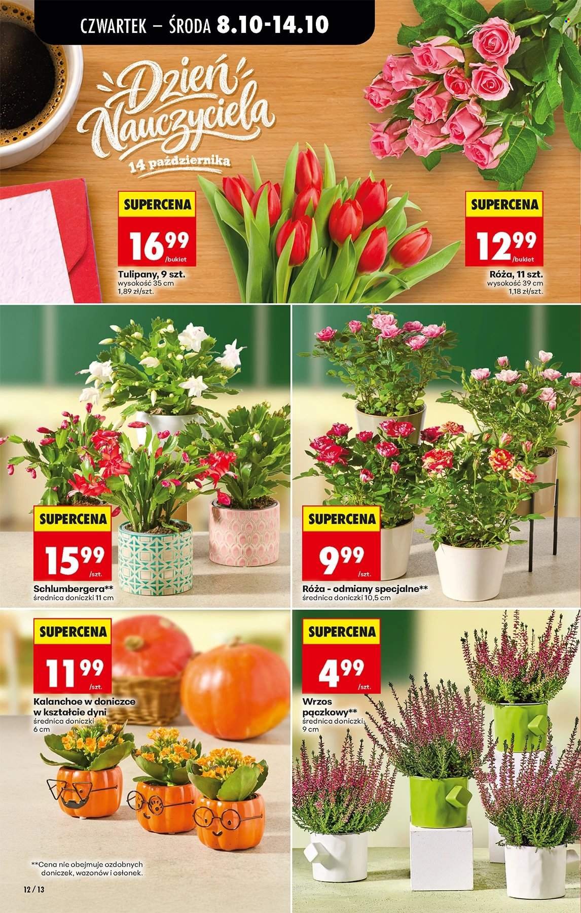 Gazetka BIEDRONKA - W tym tygodniu od czwartku