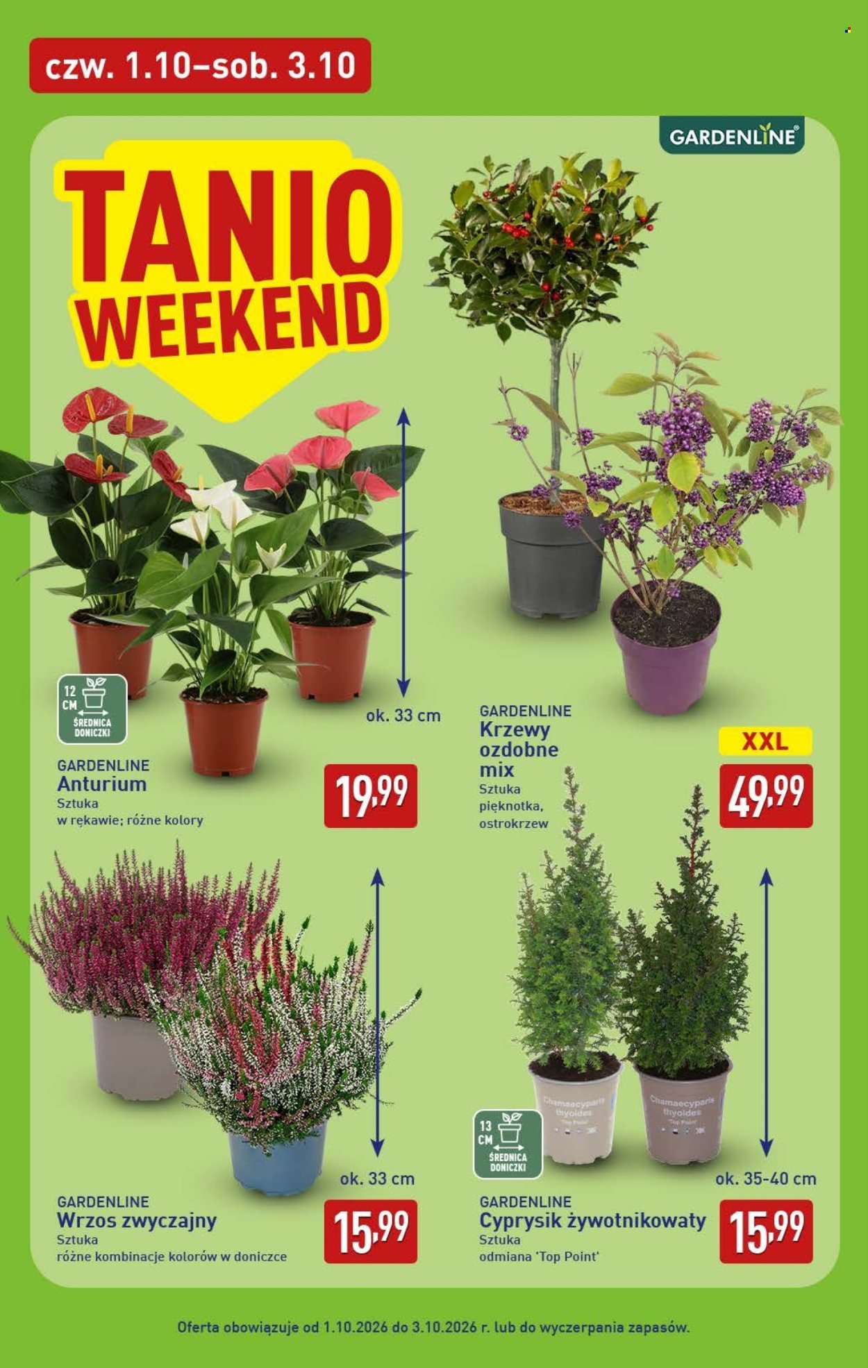 Gazetka ALDI - Pełna oferta