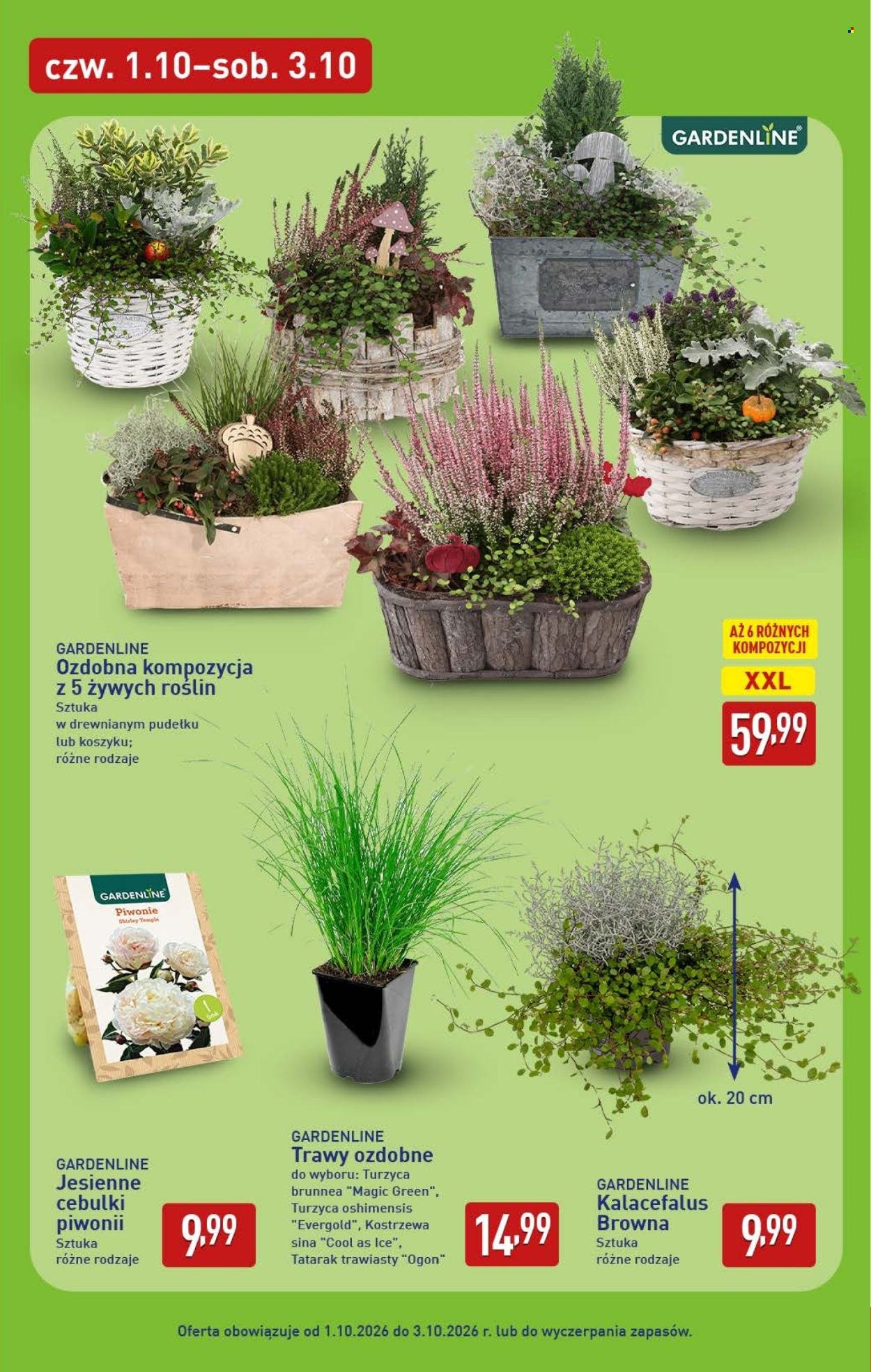Gazetka ALDI - Pełna oferta