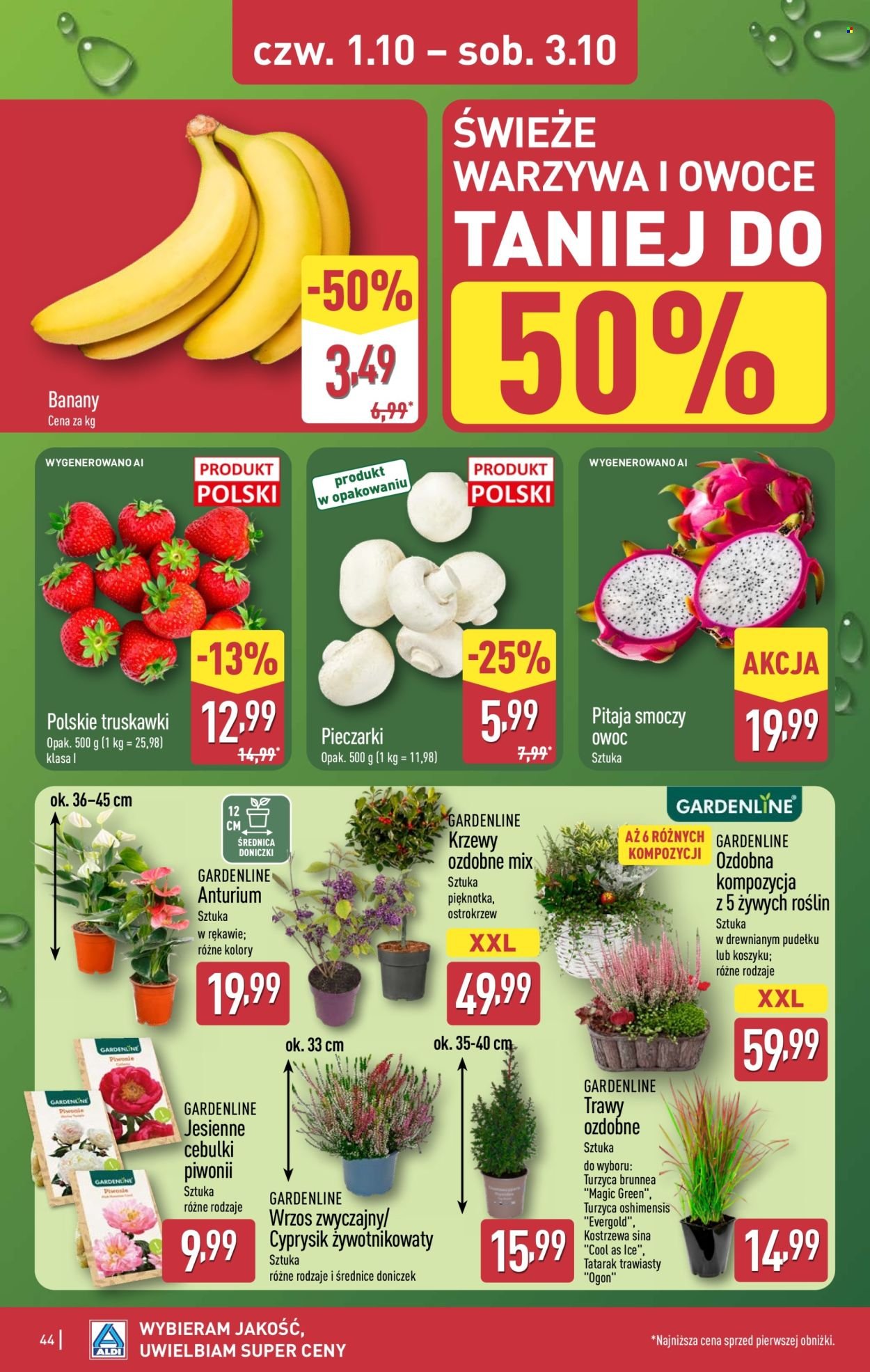 Gazetka ALDI - Pełna oferta
