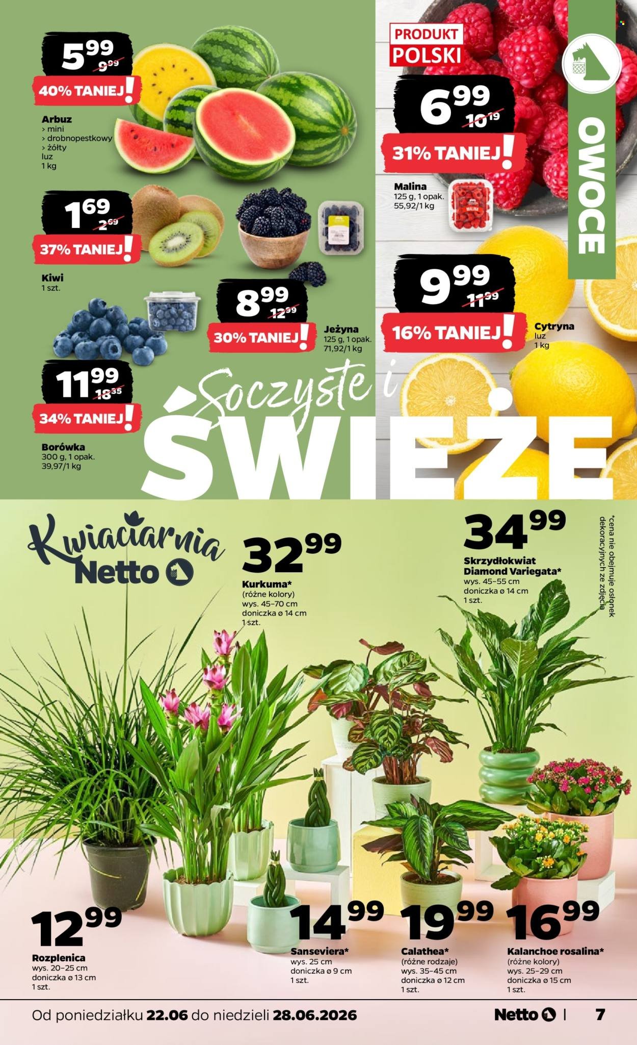 Gazetka NETTO - Od poniedziałku