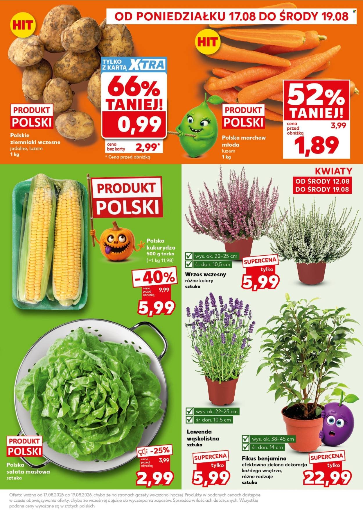 Gazetka KAUFLAND - Mocny Start