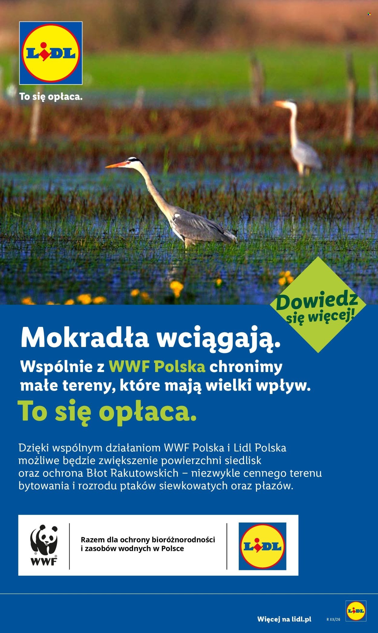 Gazetka LIDL - Od poniedziałku