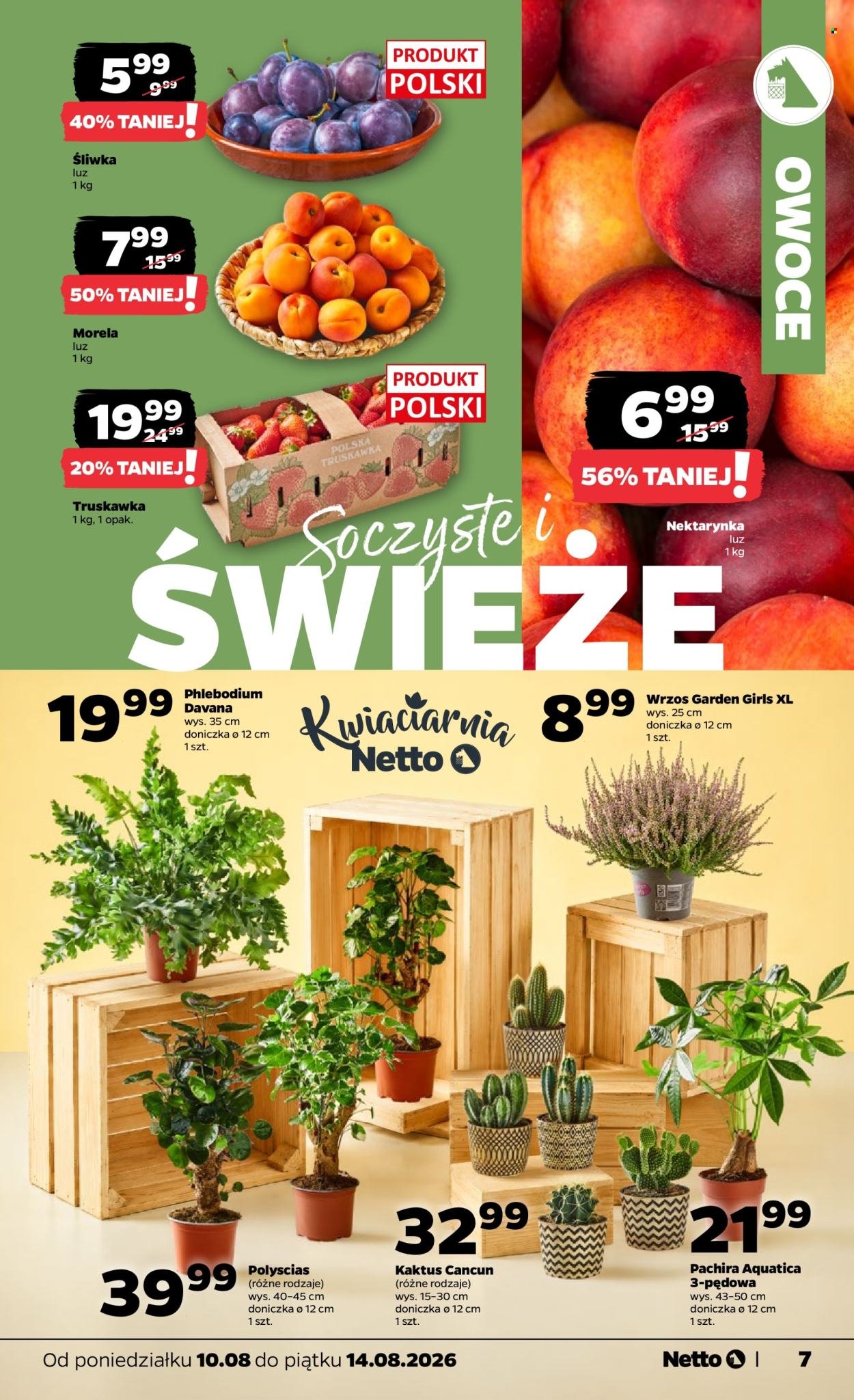 Gazetka NETTO - Od poniedziałku