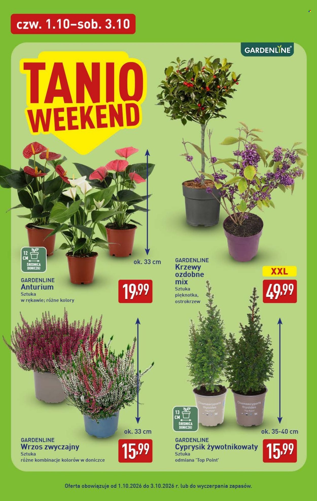 Gazetka ALDI - Oferta weekendowa