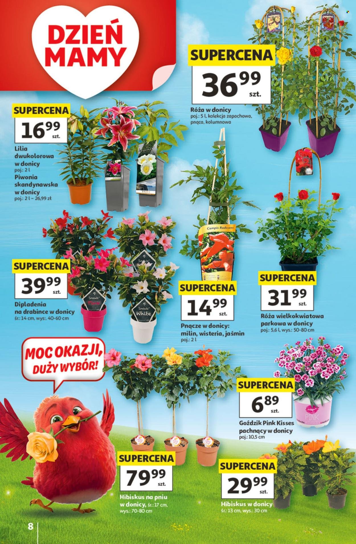Gazetka AUCHAN - 30 Lat