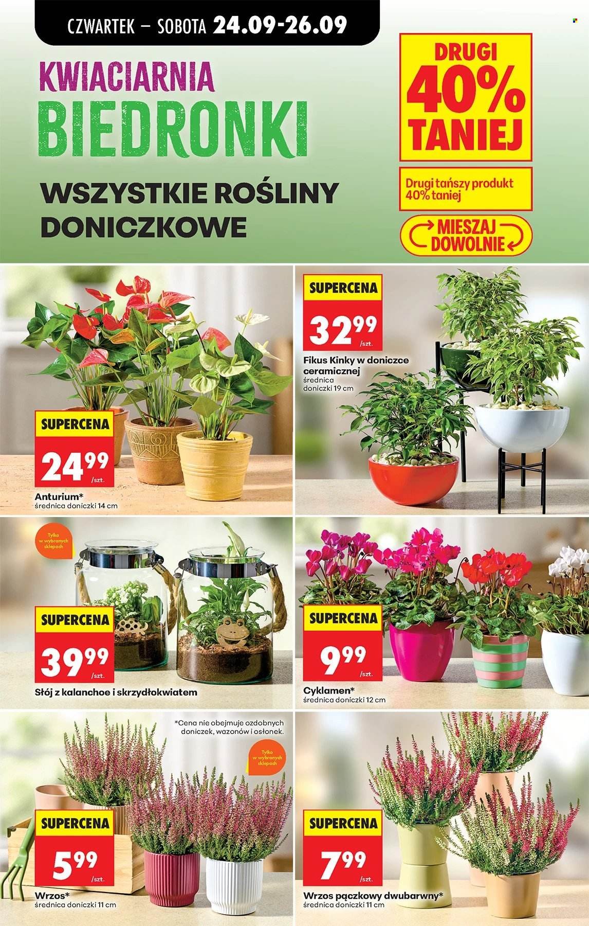 Gazetka BIEDRONKA - W tym tygodniu od czwartku