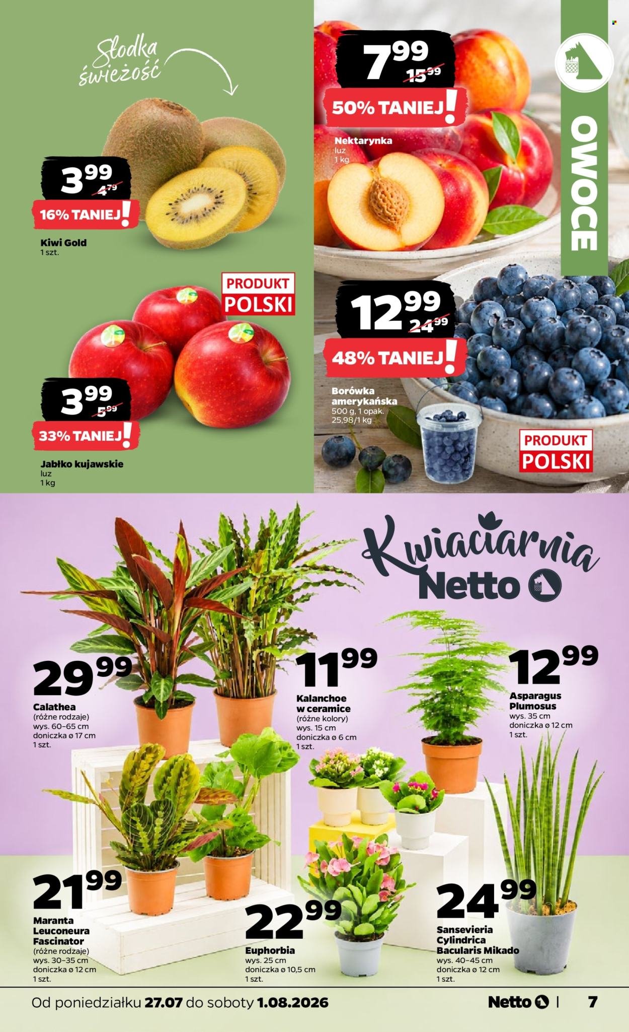 Gazetka NETTO - Od poniedziałku
