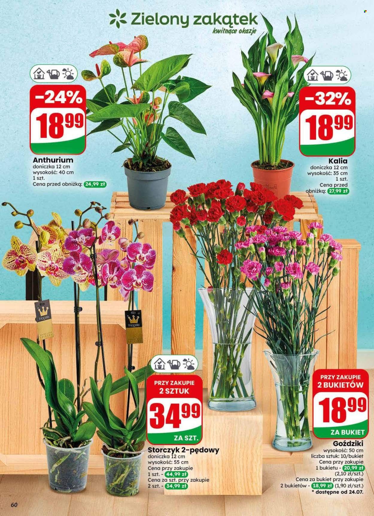 Gazetka DINO - Od środy 22.07.2026