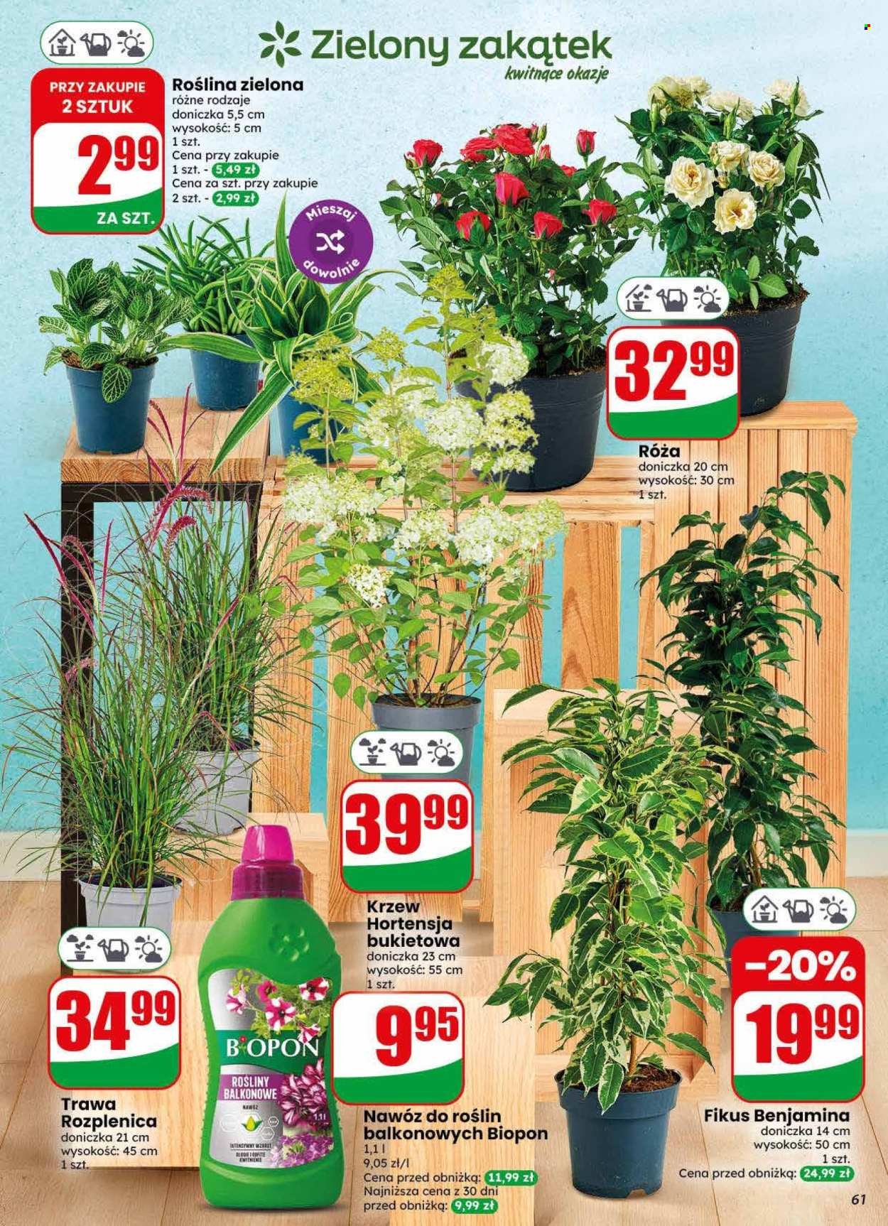 Gazetka DINO - Od środy 22.07.2026