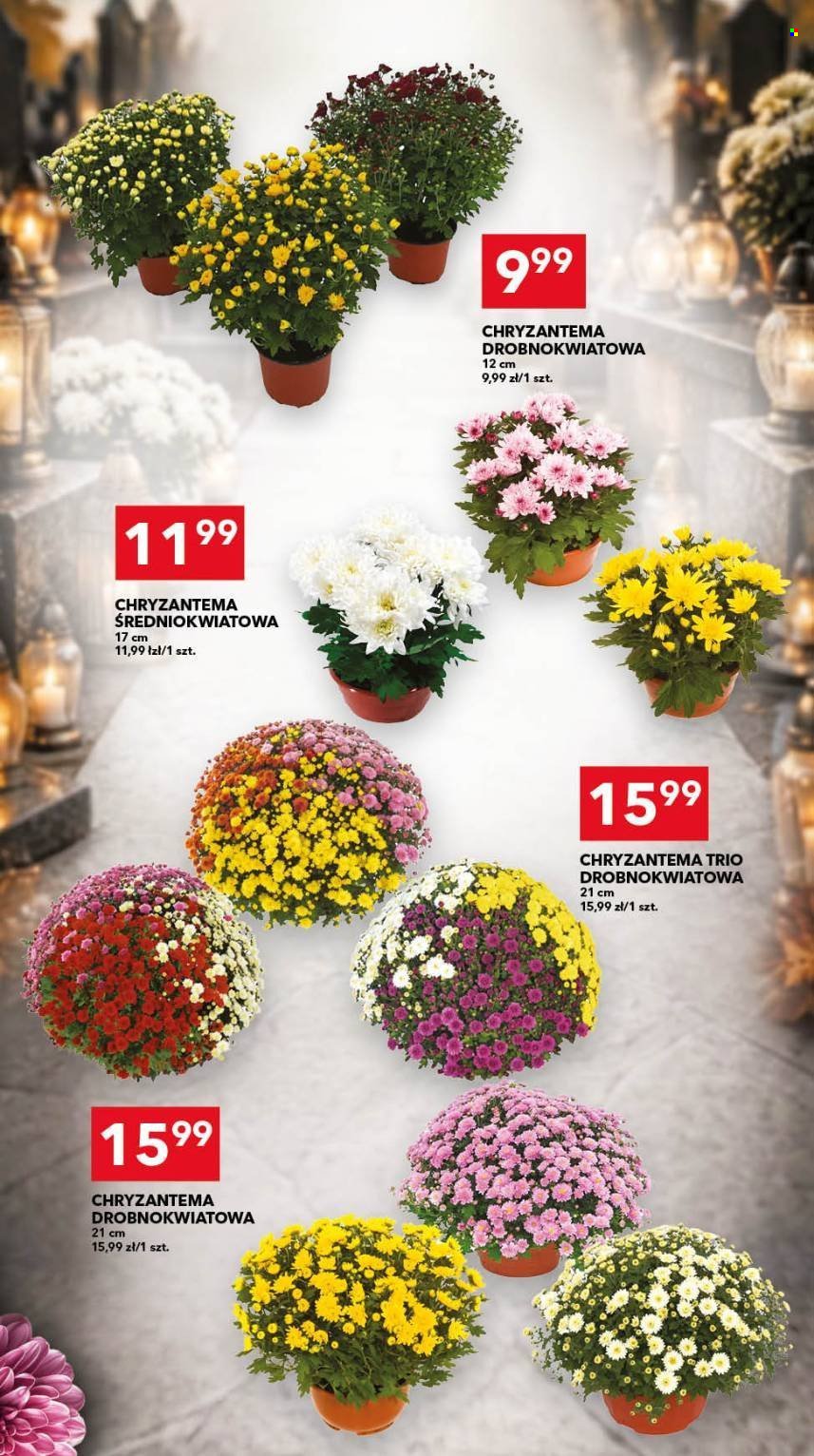 Gazetka LEWIATAN - Od czwartku 22.10.2026