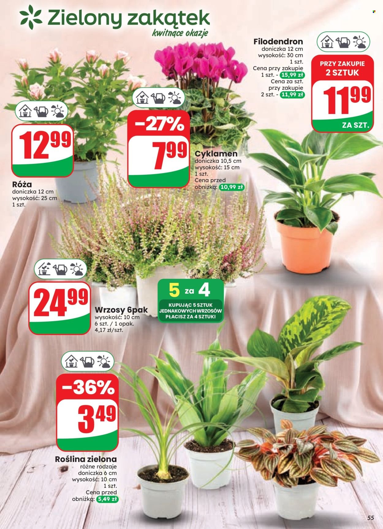 Gazetka DINO - Od środy 9.09.2026