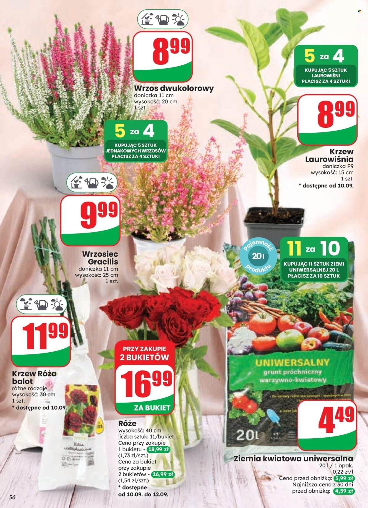 Gazetka DINO - Od środy 9.09.2026