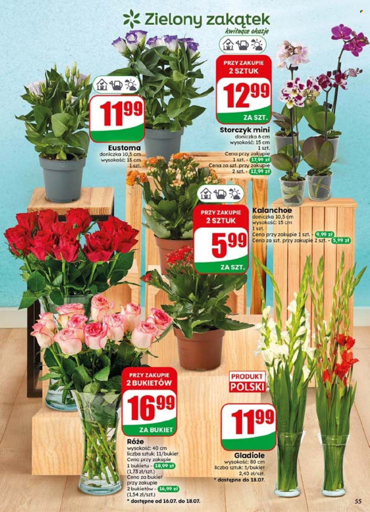 Gazetka DINO - Od środy 15.07.2026