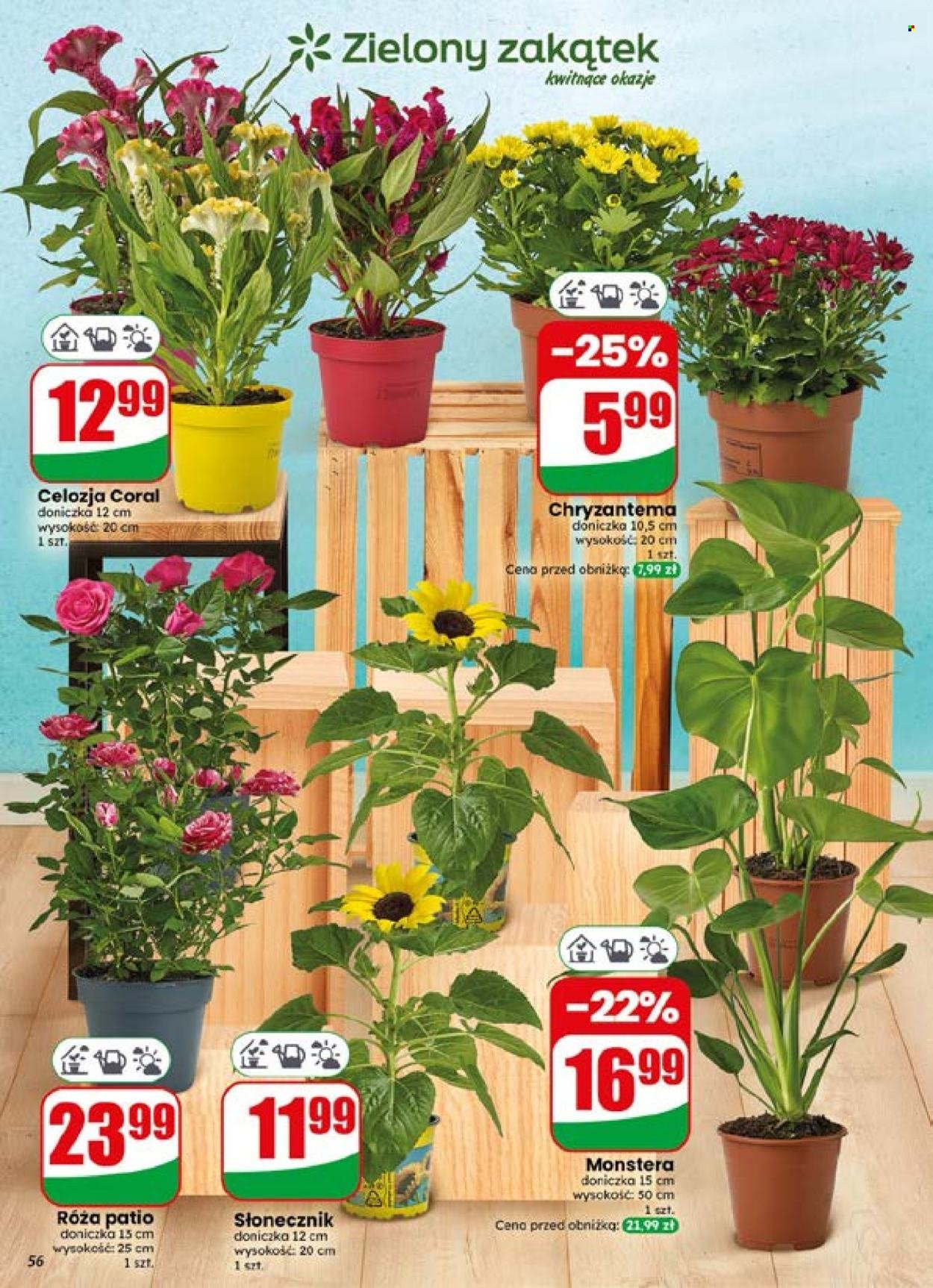 Gazetka DINO - Od środy 15.07.2026