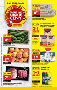 Gazetka BIEDRONKA - W tym tygodniu od poniedziałku
