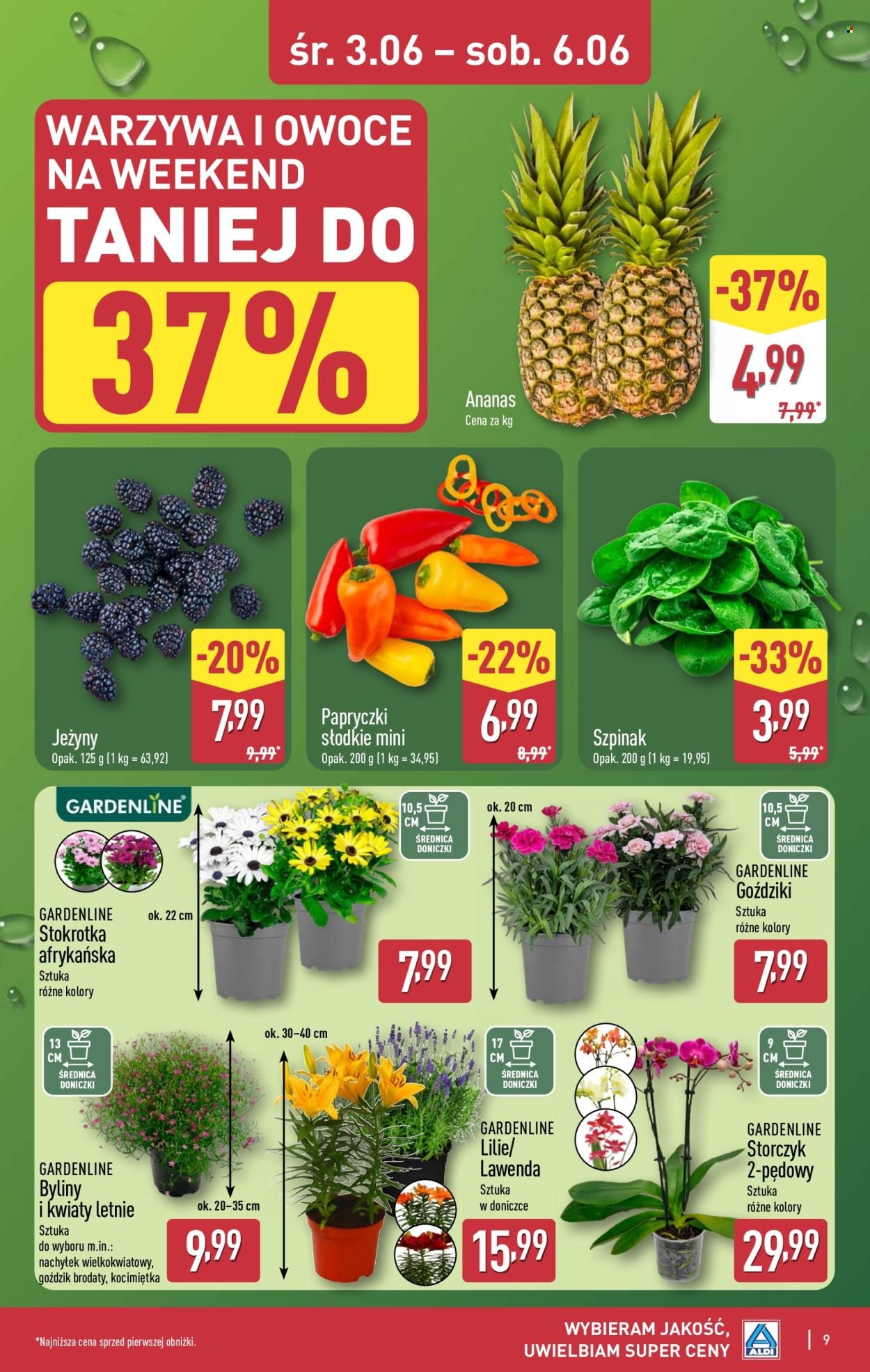 Gazetka ALDI - Oferta weekendowa