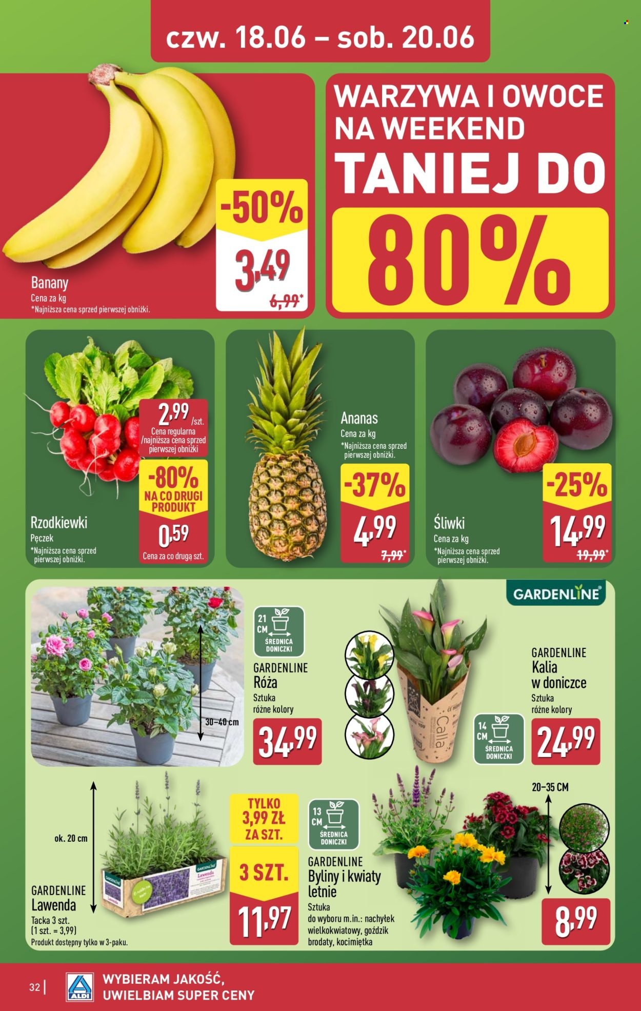 Gazetka ALDI - Pełna oferta